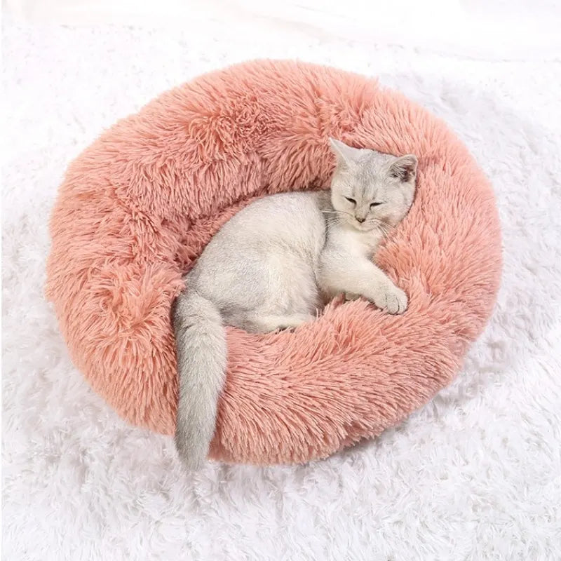 Calming Donut Bed - Premium