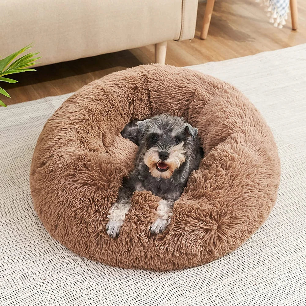 Calming Donut Bed - Premium