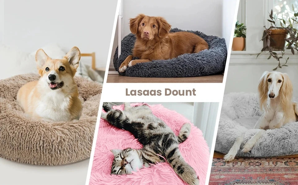 Calming Donut Bed - Premium
