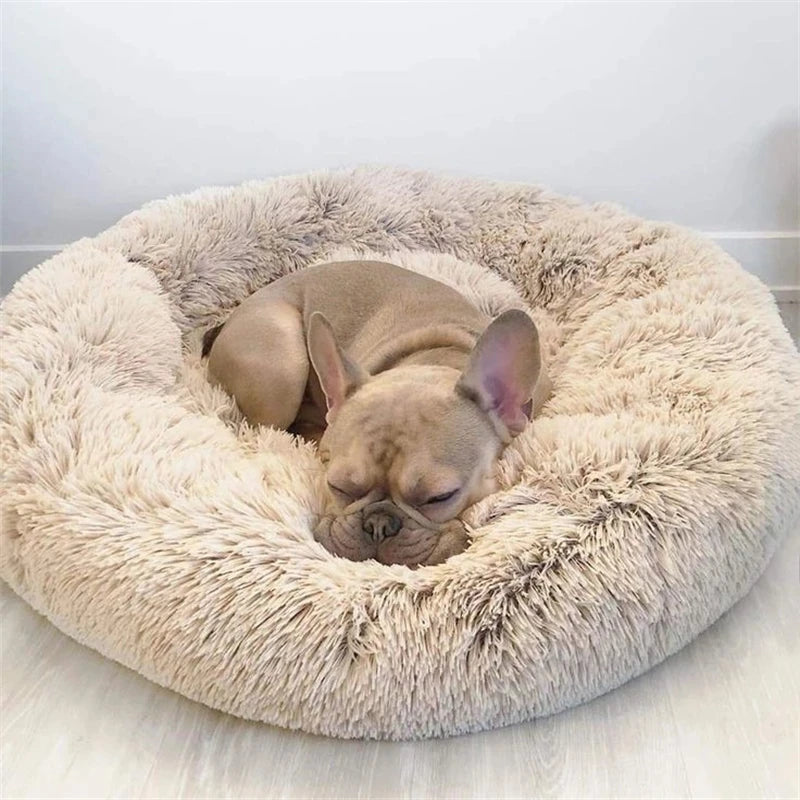 A French Bulldog asleep in an Elite Bark calming bed